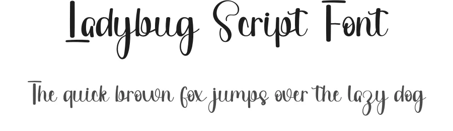 Ladybug Script Font by freshtypeink — Script Handwritten Font