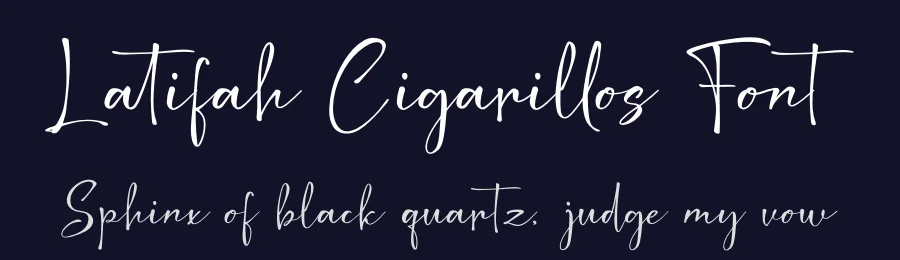 Latifah Cigarillos Font by Denustudios — Script Handwritten Font — thumbnail 2