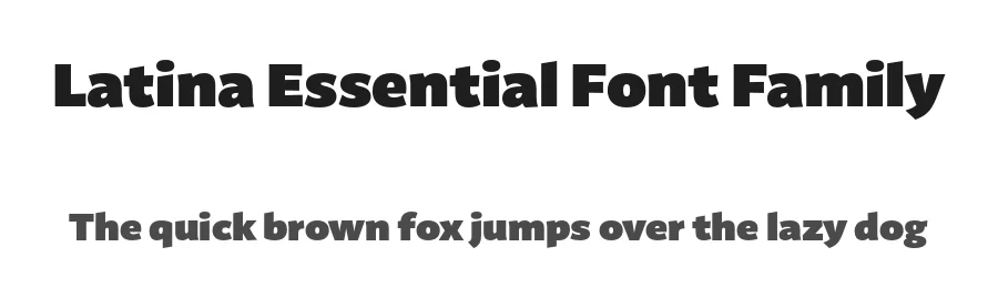 Latina Essential Font Family by Latinotype Foundry — Sans Serif Font