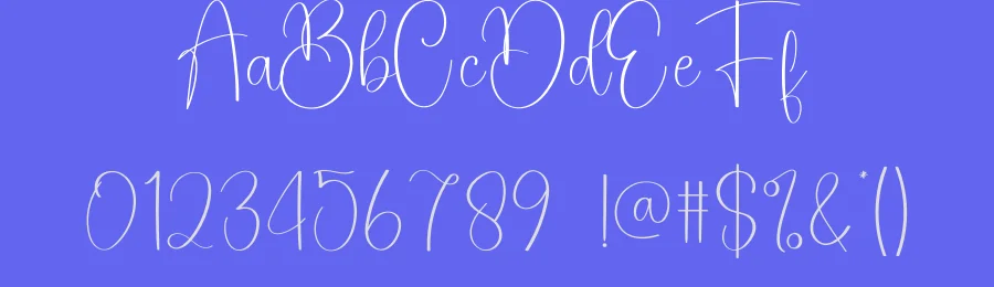 Laundry Script Font by creativeletter — Script Handwritten Font — thumbnail 3
