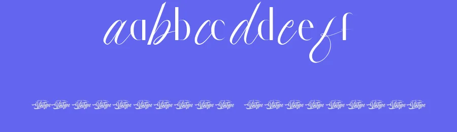 Laviena Riganie Font by VinType — Display Font — thumbnail 3