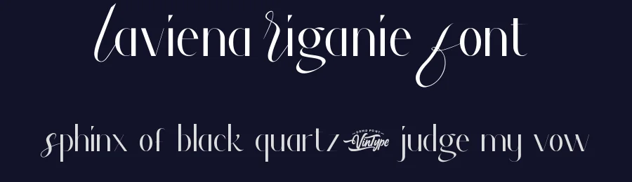 Laviena Riganie Font by VinType — Display Font — thumbnail 2