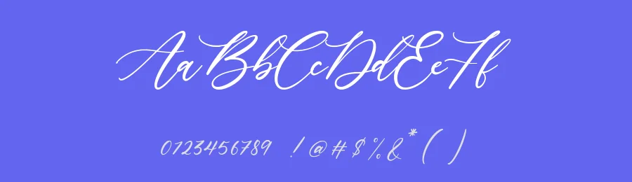 Lavineta Elegant Calligraphy Font by balpirick — Script Handwritten Font — thumbnail 3