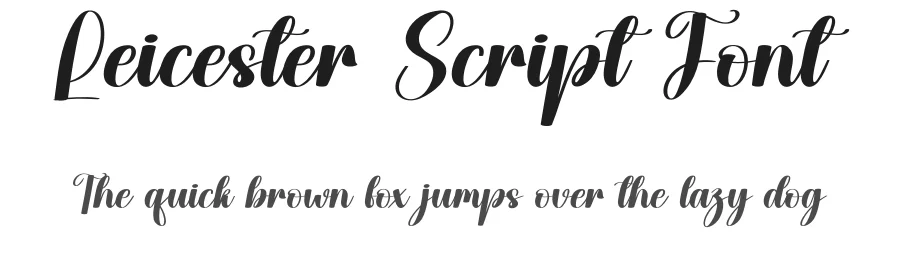 Leicester Script Font by creativeletter — Script Handwritten Font
