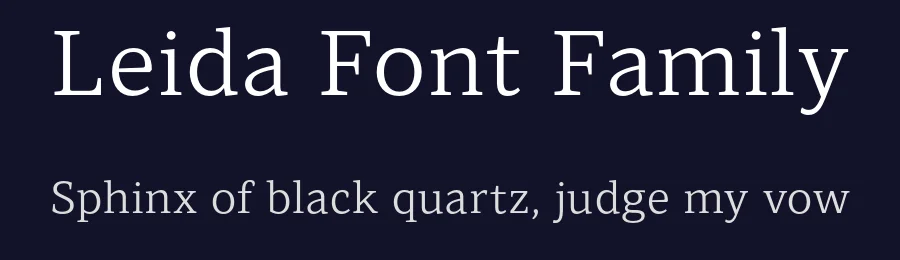 Leida Font Family by The Northern Block — Serif Font — thumbnail 2