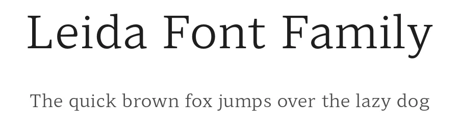 Leida Font Family by The Northern Block — Serif Font