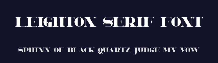 Leighton Serif Font by vpcreativeshop — Display Font — thumbnail 2