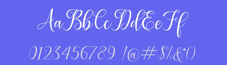 Leisa Calligraphy Font by Amarlettering — Script Handwritten Font — thumbnail 3