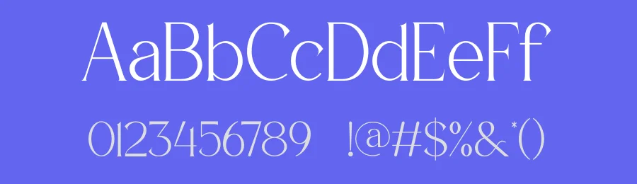 LeMaro Modern Serif Font by ErmediaStudio — Serif Font — thumbnail 3