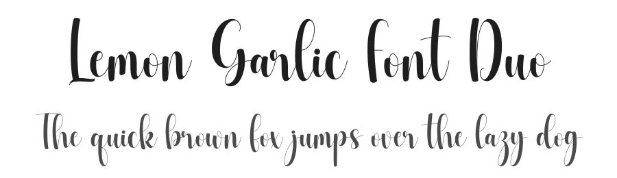 Lemon Garlic Font Duo by DN Creative — Script Handwritten Font
