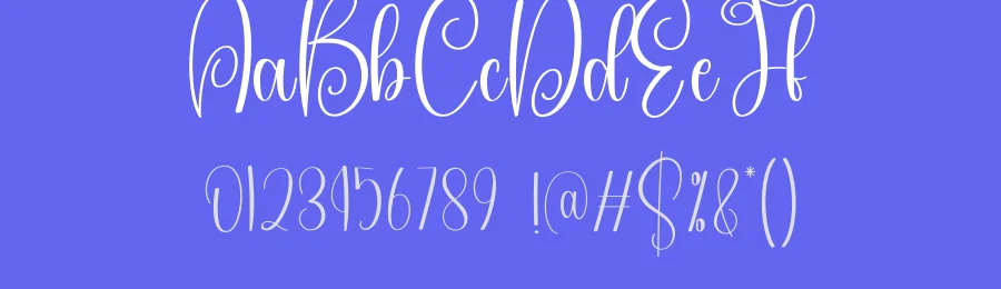 Letter Newyear Script Font by andikastudio — Script Handwritten Font — thumbnail 3