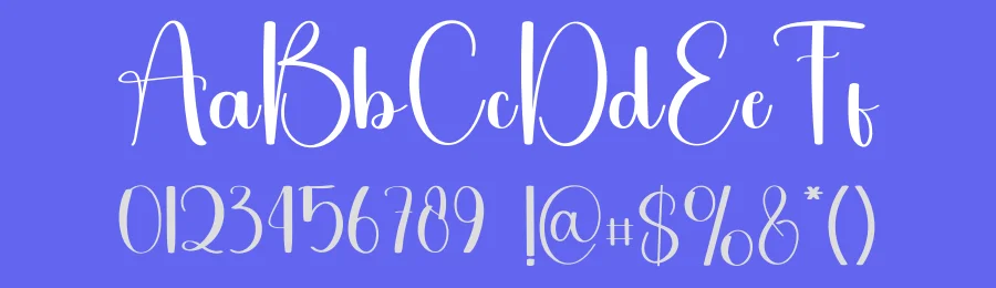 Letter Packing Script Font by freshtypeink — Script Handwritten Font — thumbnail 3