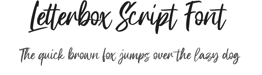 Letterbox Script Font by Gassstype — Script Handwritten Font
