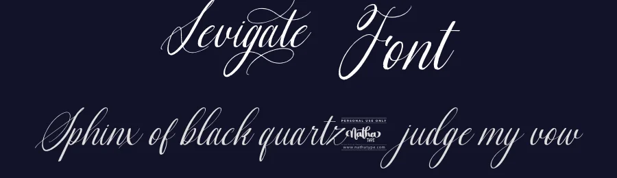 Levigate Font by Din Studio — Script Handwritten Font — thumbnail 2