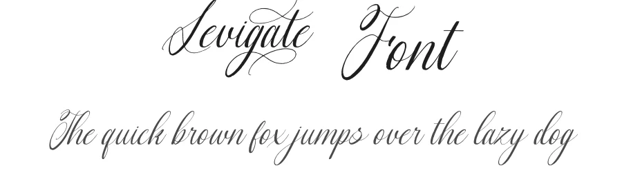 Levigate Font by Din Studio — Script Handwritten Font