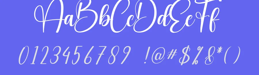 Light Calligraphy Font by creativeletter — Script Handwritten Font — thumbnail 3