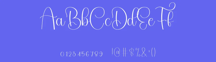 Lighting Farmhouse – Modern Script Handwritten Font by freshtypeink — Script Handwritten Font — thumbnail 3