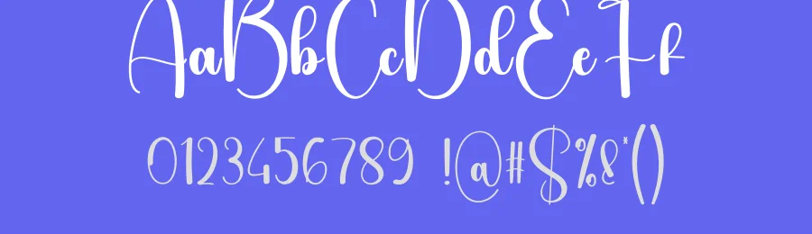 Lighting Script Font by creativeletter — Script Handwritten Font — thumbnail 3