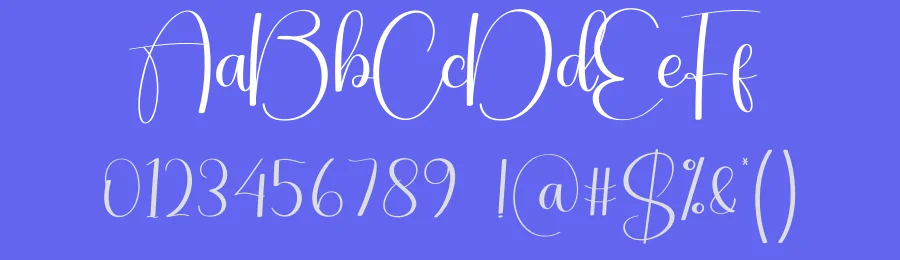 Lighting Script Font by creativeletter — Script Handwritten Font — thumbnail 3