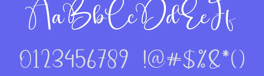 Lightning Calligraphy Script Font by creativeletter — Script Handwritten Font — thumbnail 3