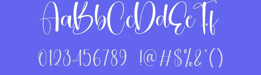 Lightyear – Stylish Handwritten Script Font by creativeletter — Script Handwritten Font — thumbnail 3
