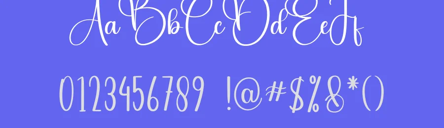 Ligthing Script Font by creativeletter — Script Handwritten Font — thumbnail 3