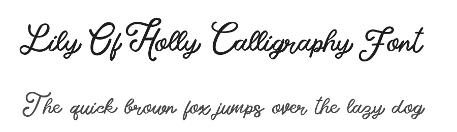 Lily Of Holly Calligraphy Font by HydricDesign β Script Handwritten Font