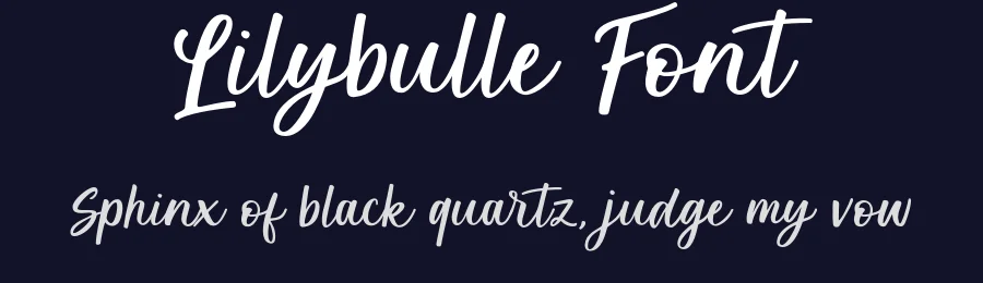 Lilybulle Font by Aksapix_Type — Serif Font — thumbnail 2