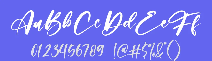 Limited Edition Script Font by letterenastudios — Script Handwritten Font — thumbnail 3