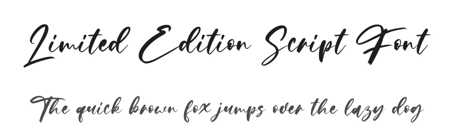 Limited Edition Script Font by letterenastudios — Script Handwritten Font