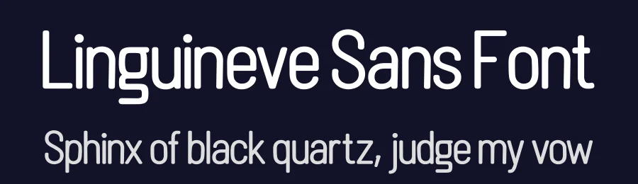 Linguineve Sans Font by Shanaya Creative — Sans Serif Font — thumbnail 2