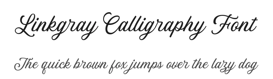 Linkgray Calligraphy Font by Letterhend — Script Handwritten Font