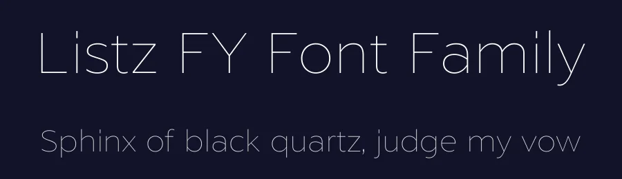 Listz FY Font Family by Black Foundry — Sans Serif Font — thumbnail 2