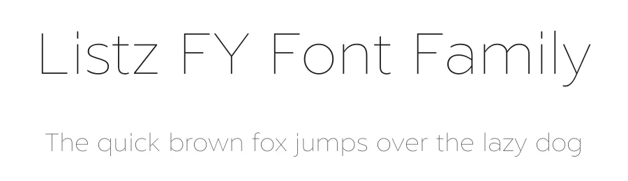 Listz FY Font Family by Black Foundry — Sans Serif Font