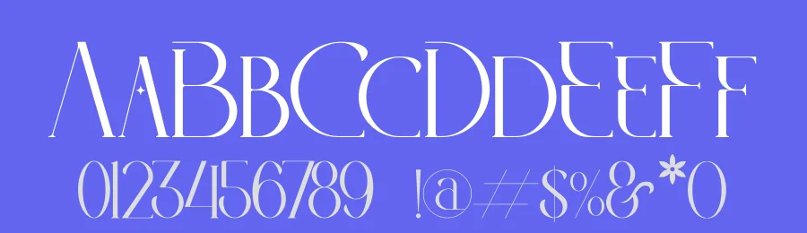 LITERACY Display Font by Storytype — Serif Font — thumbnail 3