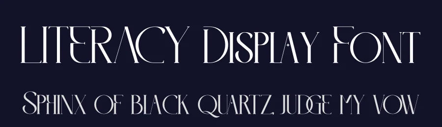 LITERACY Display Font by Storytype — Serif Font — thumbnail 2