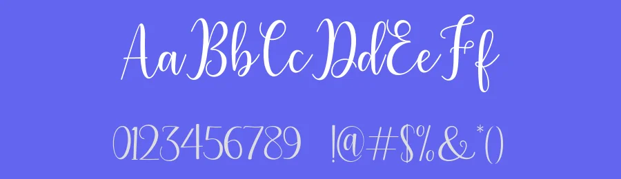 Litesha Script Font by Amarlettering — Script Handwritten Font — thumbnail 3