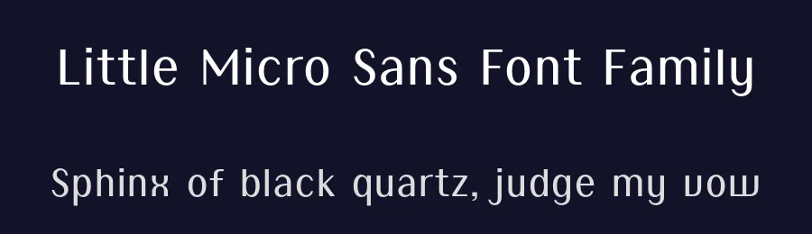 Little Micro Sans Font Family by Caron twice — Sans Serif Font — thumbnail 2