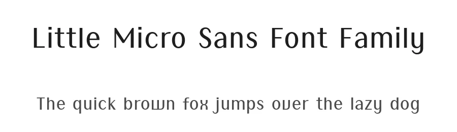 Little Micro Sans Font Family by Caron twice — Sans Serif Font