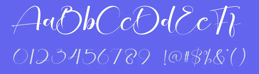 Livery Calligraphy Font by creativeletter — Script Handwritten Font — thumbnail 3
