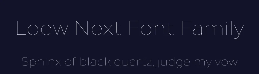 Loew Next Font Family by The Northern Block — Sans Serif Font — thumbnail 2