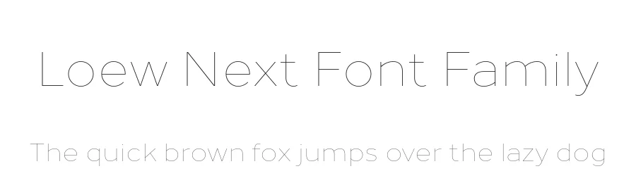 Loew Next Font Family by The Northern Block — Sans Serif Font