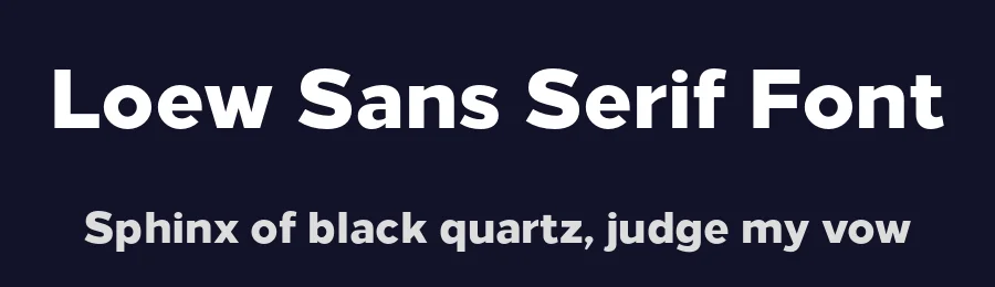 Loew Sans Serif Font by The Northern Block — Sans Serif Font — thumbnail 2