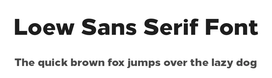 Loew Sans Serif Font by The Northern Block — Sans Serif Font