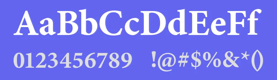 Loisville – Serif Font by Artnivora Studio — Serif Font — thumbnail 3