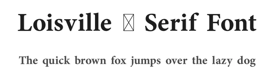 Loisville – Serif Font by Artnivora Studio — Serif Font