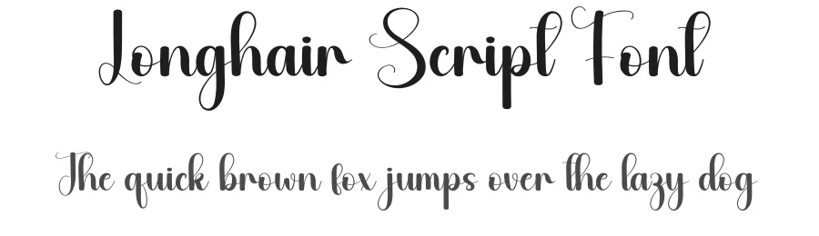 Longhair Script Font by creativeletter — Script Handwritten Font