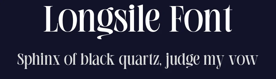 Longsile Font by gianstudio12 — Serif Font — thumbnail 2