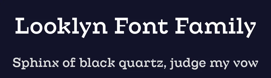 Looklyn Font Family by Typeji — Serif Font — thumbnail 2
