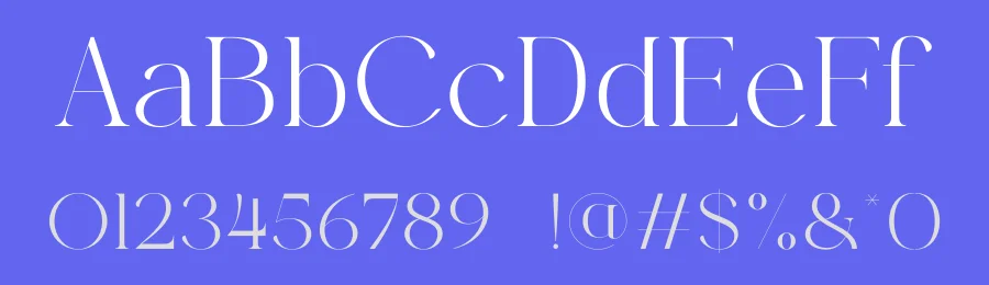 Loral Virel – Minimal Ligature Modern Serif Font by SURATMI — Serif Font — thumbnail 3